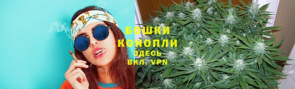 ешки Иннополис