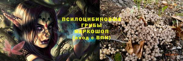 ешки Иннополис