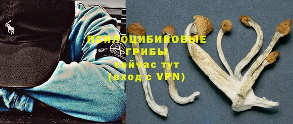 ешки Иннополис