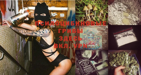 ешки Иннополис