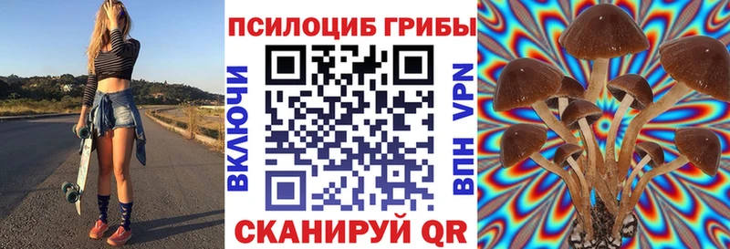 Купить  Камень-на-Оби  Галлюциногенные грибы ЛСД 